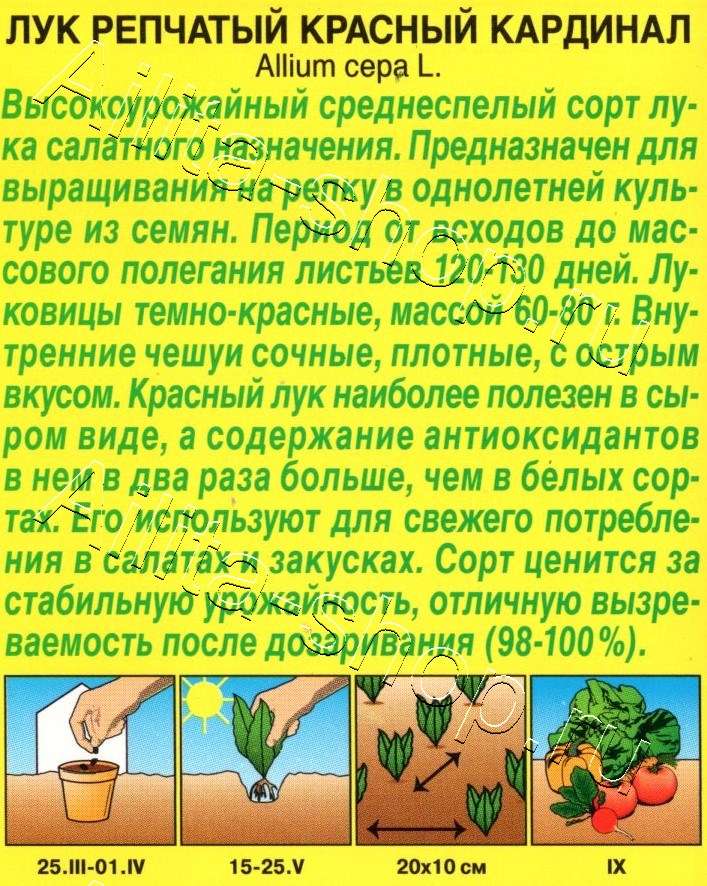 Лук репчатый Красный кардинал 0,5г