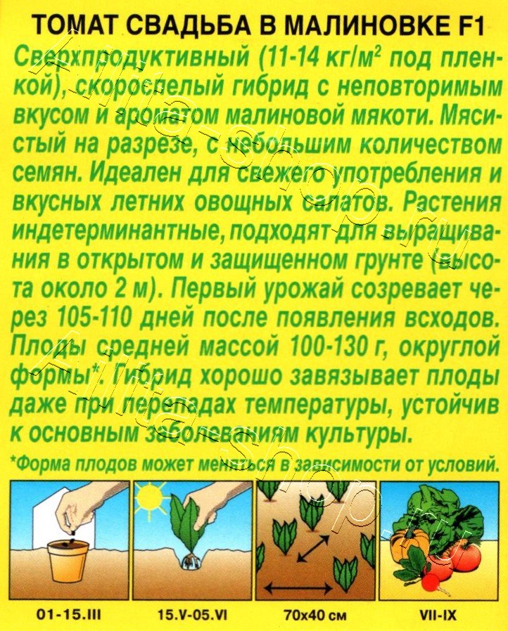 Томат Свадьба в Малиновке F1 20шт