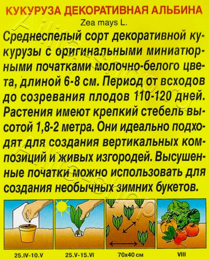 Кукуруза декоративная Альбина 10шт