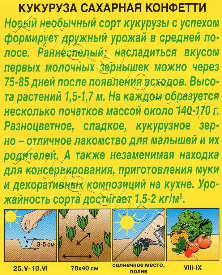 Кукуруза сахарная Конфетти 5шт