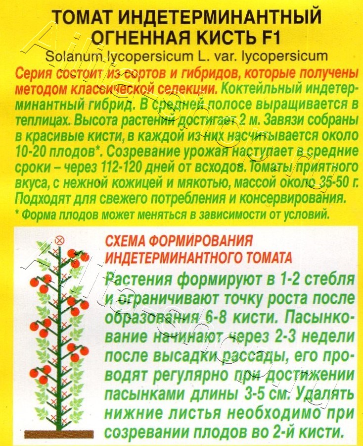 Томат Огненная кисть F1 10шт