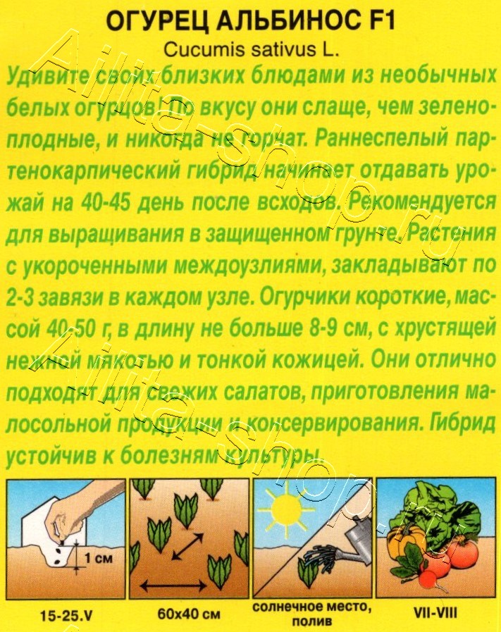 Огурец Альбинос F1 5шт