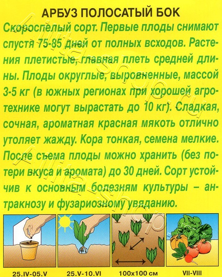 Арбуз Полосатый бок 1г