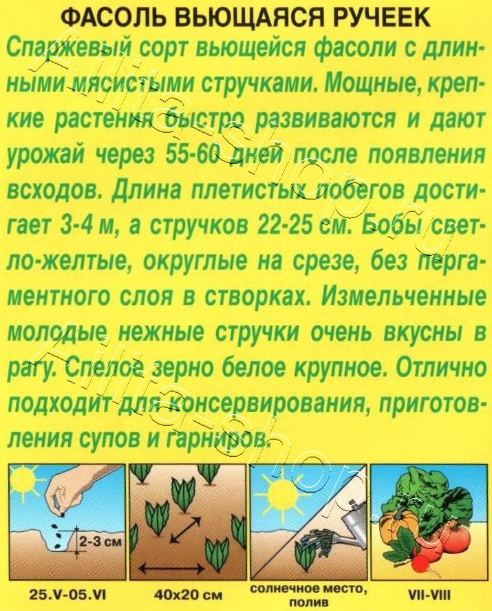 Фасоль вьющаяся Ручеек 5г