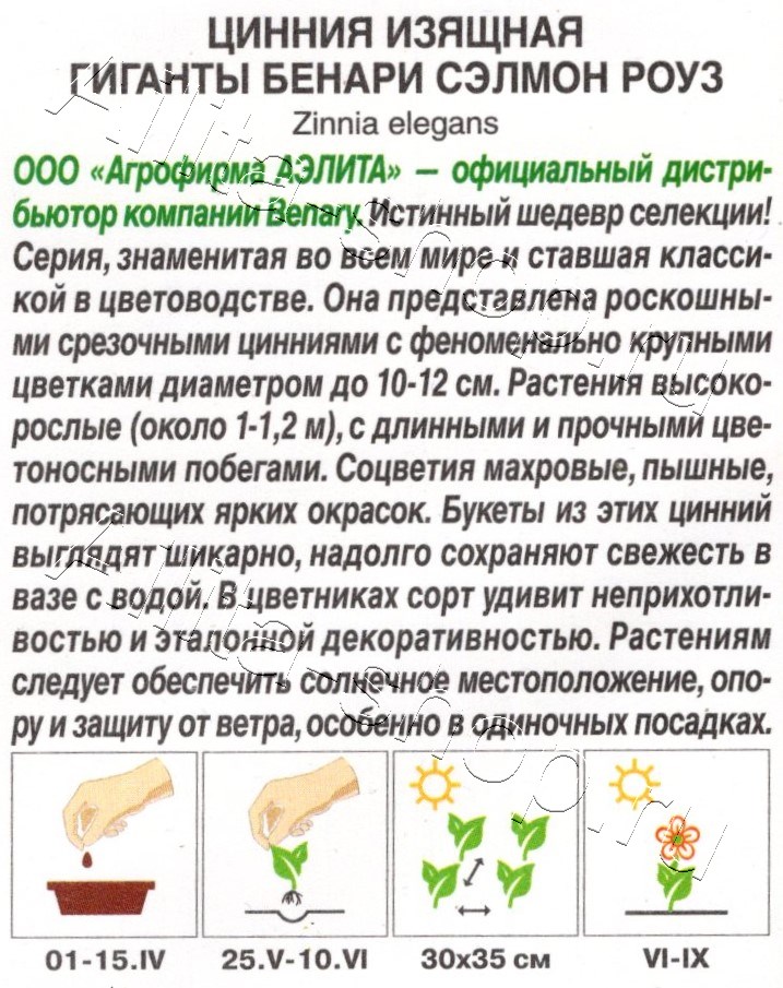 Цинния Гиганты Бенари сэлмон роуз 7шт