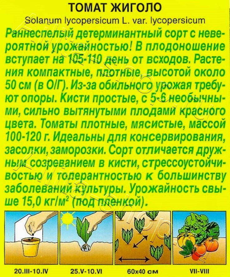 Томат Жиголо 10шт