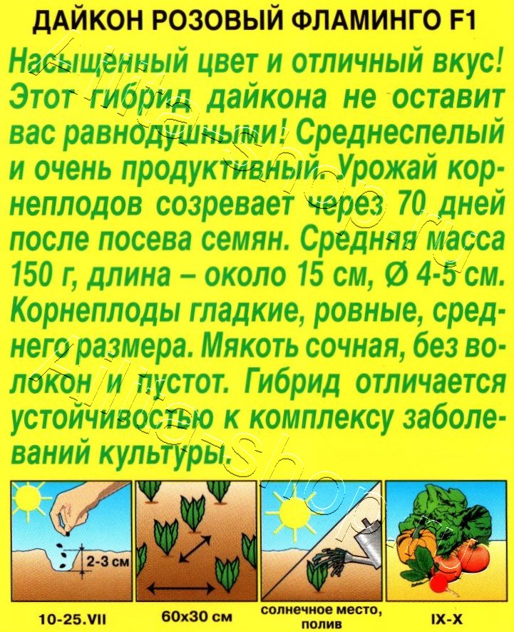 Дайкон Розовый фламинго F1 10шт