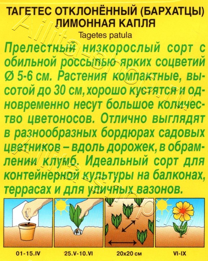 Бархатцы Лимонная капля отклоненные 0,3г