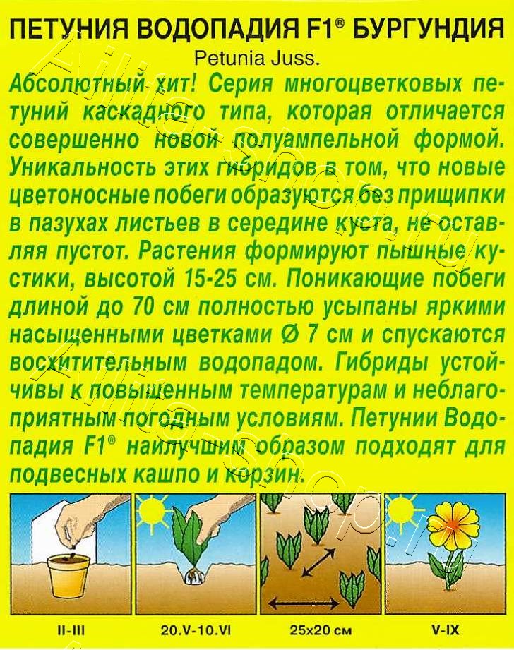 Петуния ВОДОПАДИЯ F1 бургундия 7шт