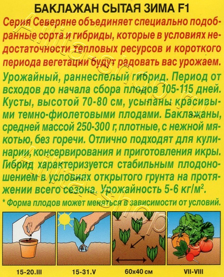 Баклажан Сытая зима F1 0,1г