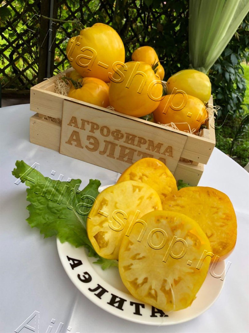 Томат Жозефина F1 15 шт