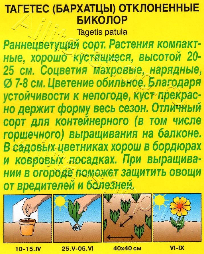 Бархатцы Биколор отклоненные 0,3г