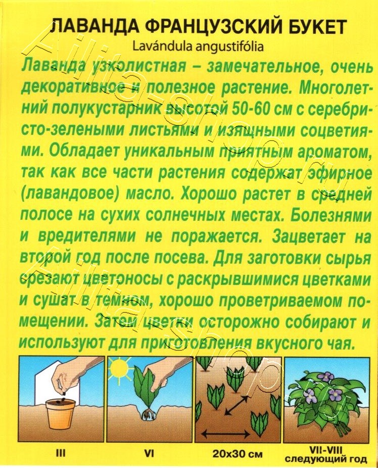 Лаванда Французский букет 0,1г