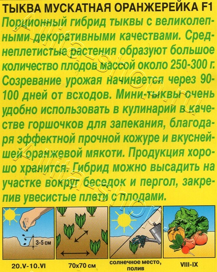 Тыква Оранжерейка F1 5шт