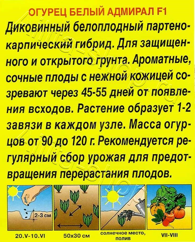 Огурец Белый адмирал F1 7шт
