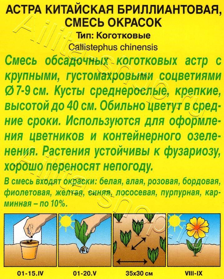 Астра Бриллиантовая, смесь окрасок 0,2г