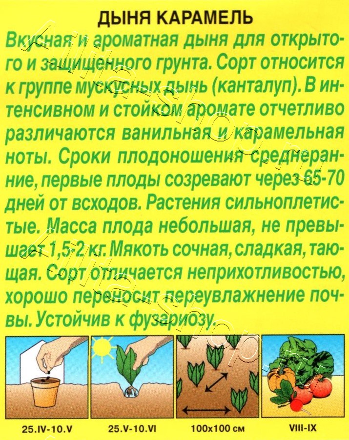 Дыня Карамель 1г