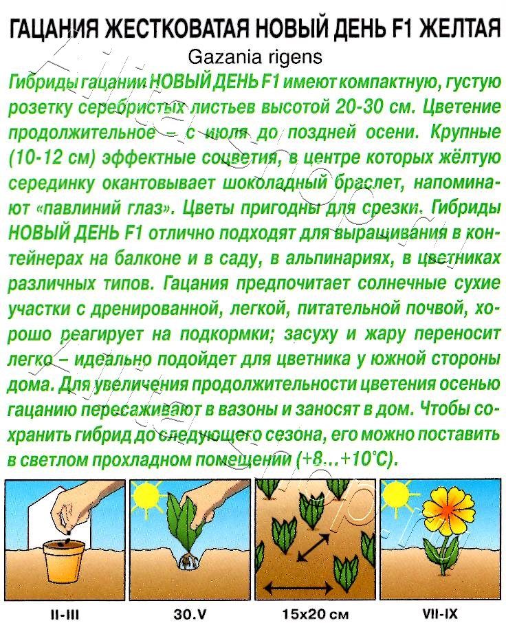 Гацания Новый день F1 желтая 5шт