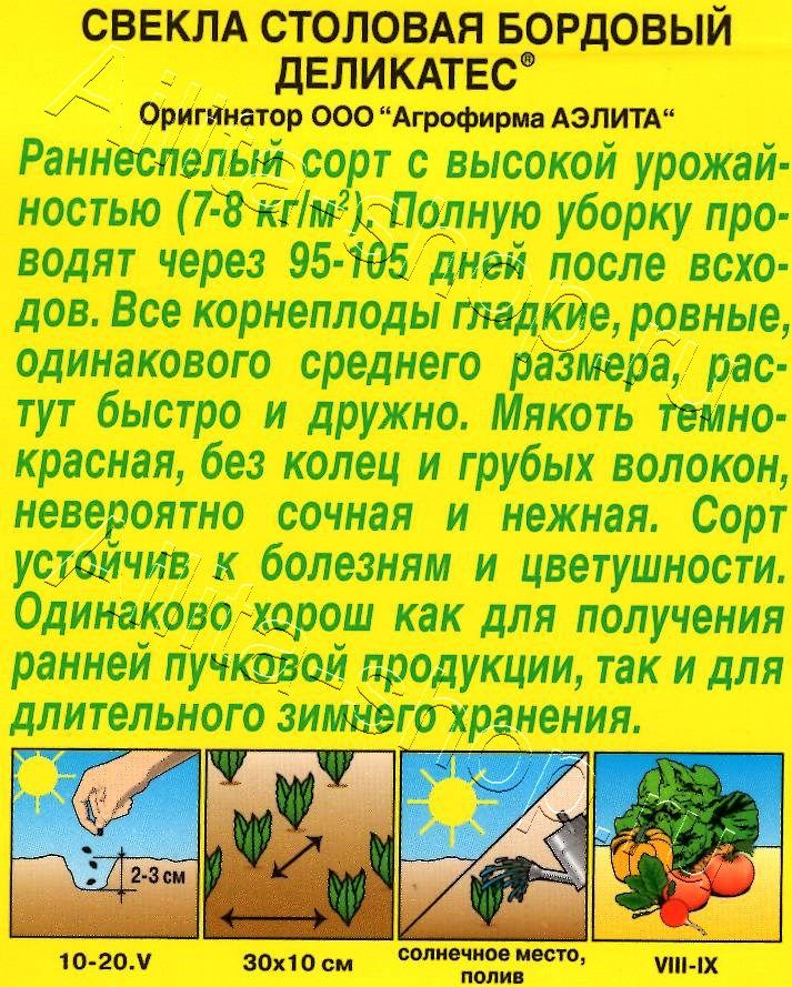 Свекла столовая Бордовый деликатес 3г