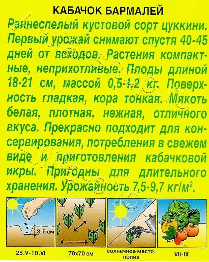 Кабачок цуккини Бармалей 1г