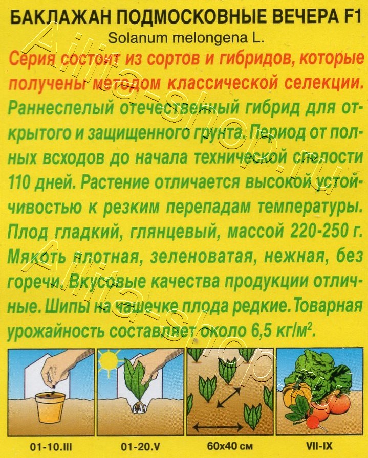 Баклажан Подмосковные вечера F1 0,1г