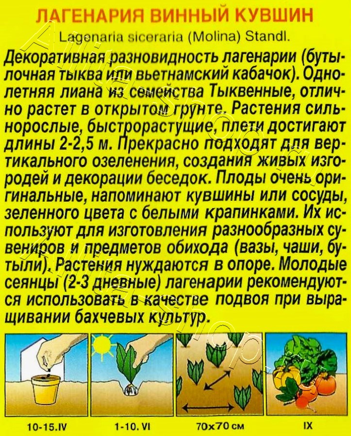 Лагенария Винный кувшин 3шт