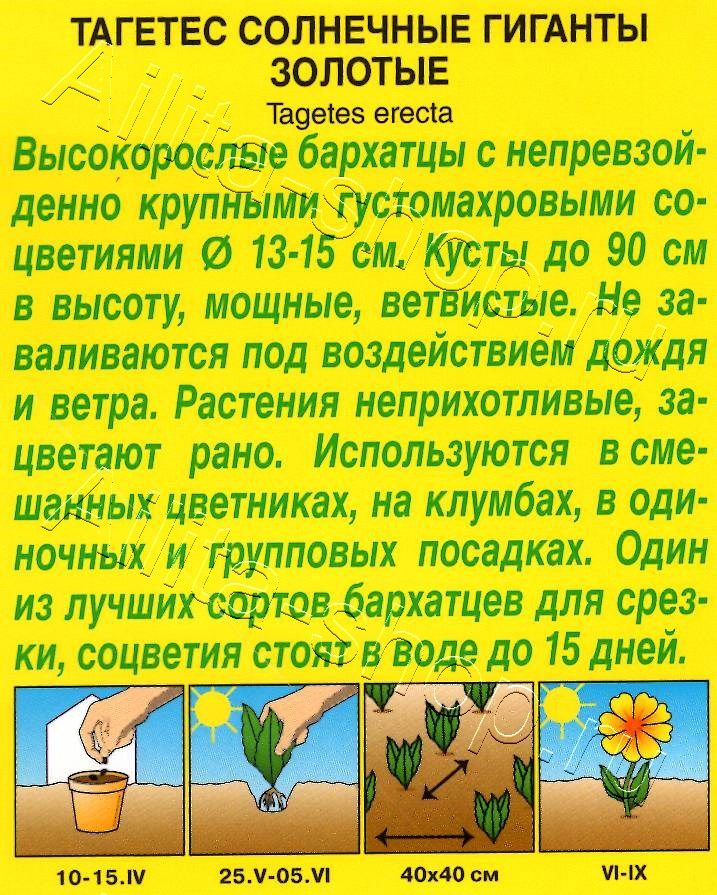 Бархатцы Солнечные гиганты золотые 0,3г