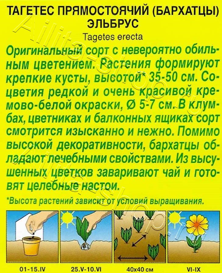 Бархатцы Эльбрус прямостоячие 0,05г