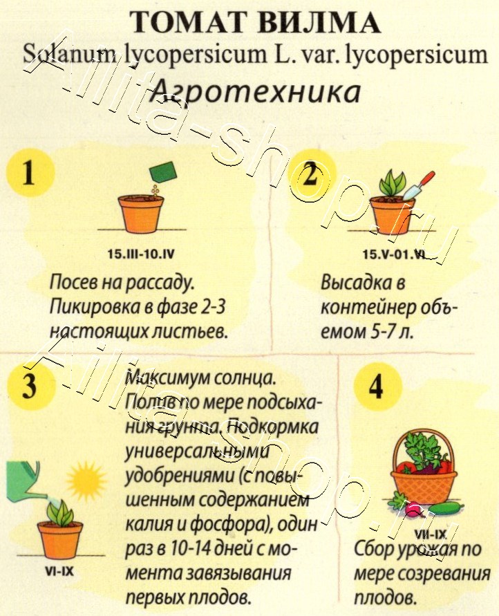 Томат Вилма 10шт