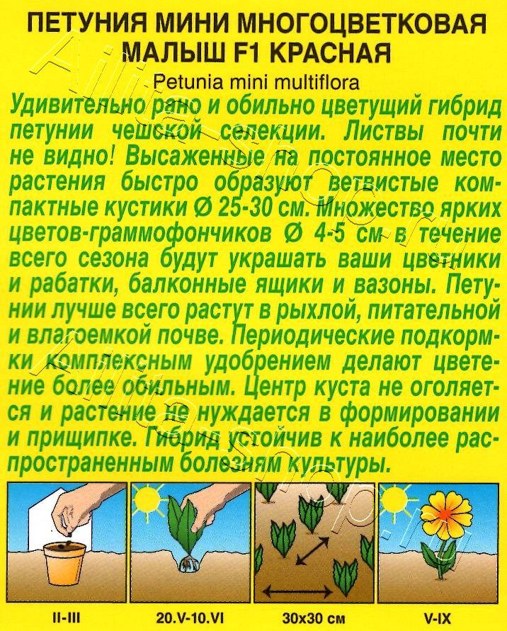 Петуния мини Малыш F1 красная многоцветковая 7шт