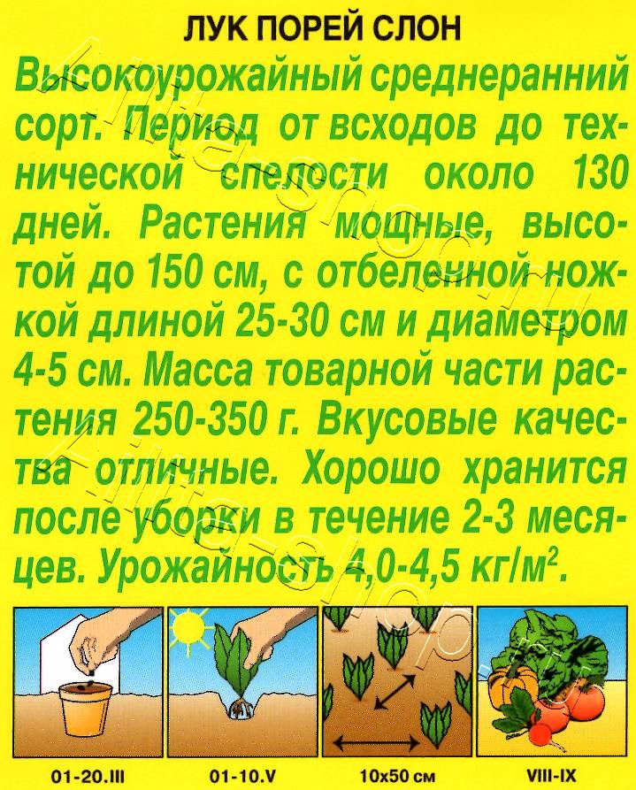 Лук порей Слон 0,5г