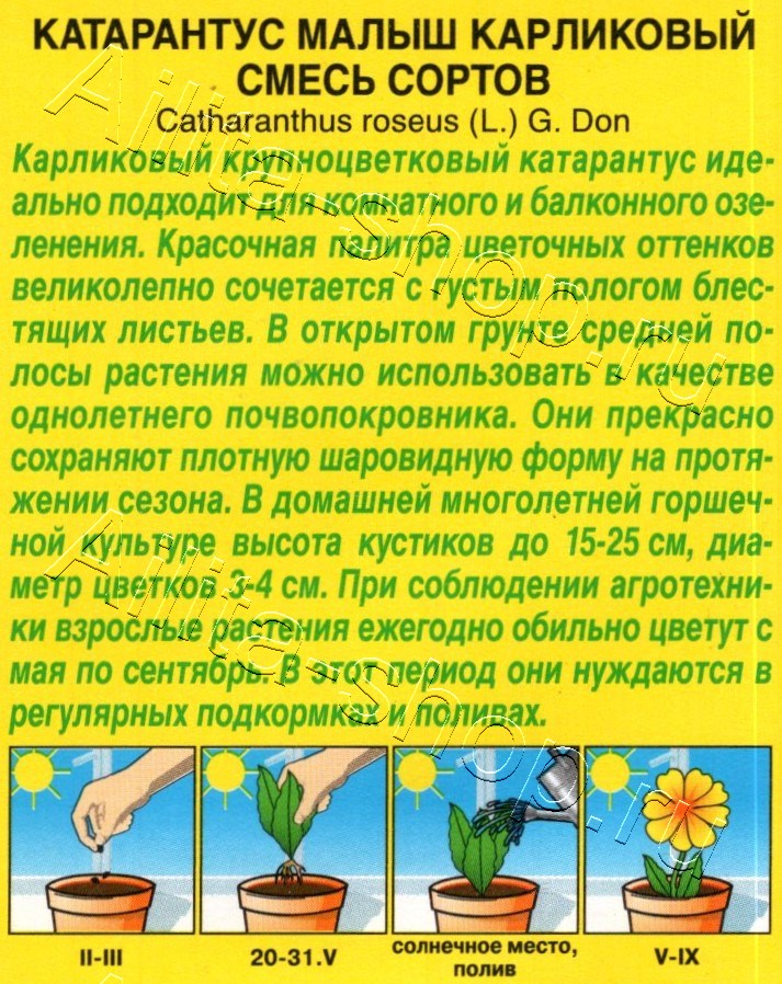 Катарантус Малыш карликовый, смесь сортов 0,05г
