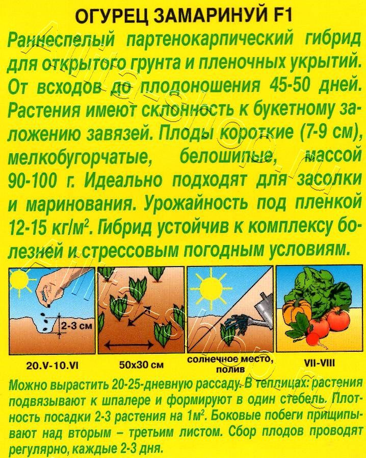 Огурец Замаринуй F1 10шт