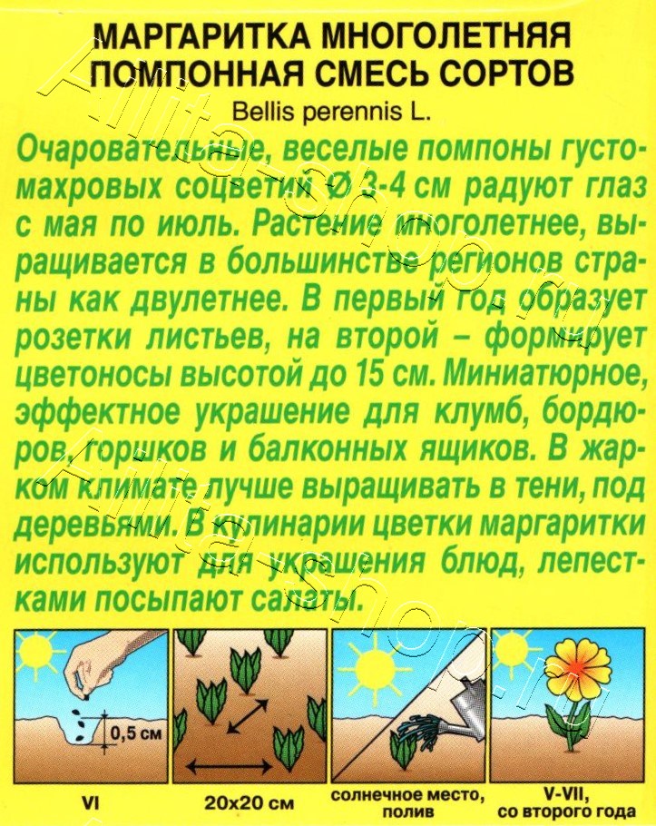 Маргаритка Помпонная, смесь окрасок 0,05г