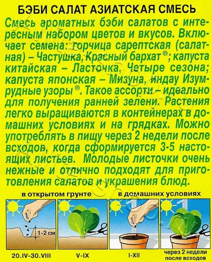 Бэби салат Азиатская смесь 0,5г