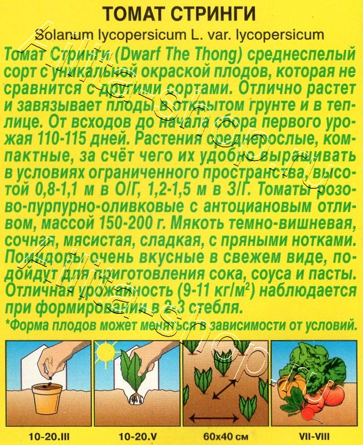 Томат Стринги 20шт