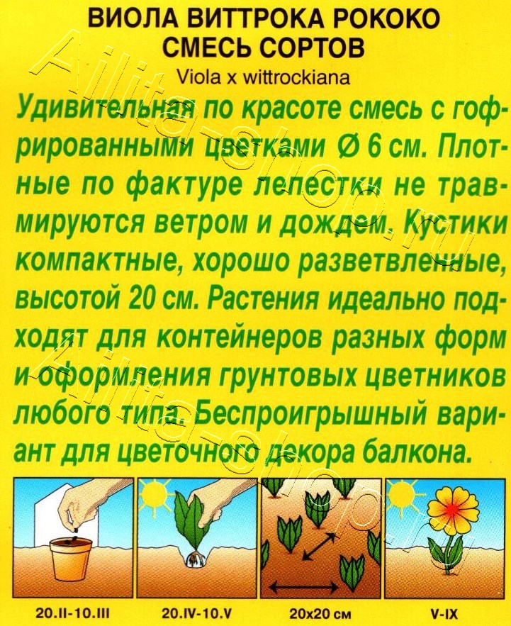 Виола Рококо, смесь окрасок 0,1г