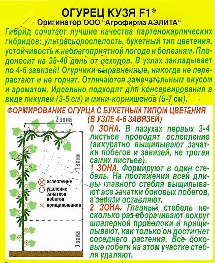 Огурец Кузя F1 10шт