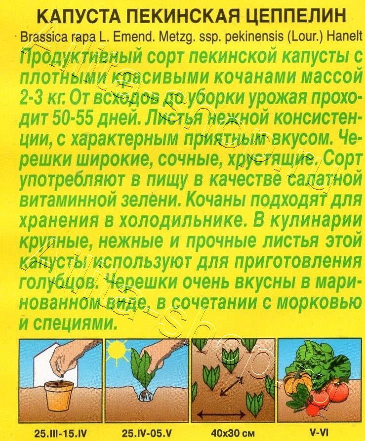 Капуста Пекинская Цеппелин 0,3г