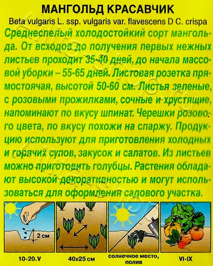 Мангольд Красавчик 1г