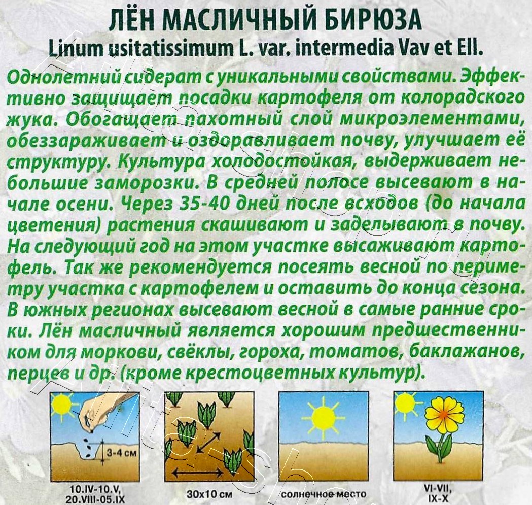 Лен масличный Бирюза 30г