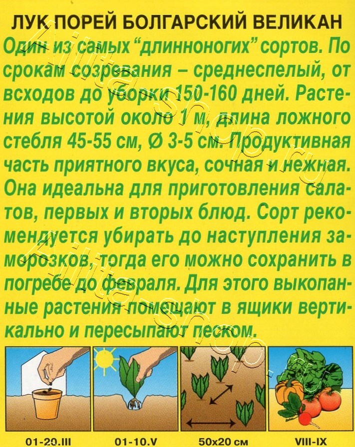 Лук порей Болгарский великан 0,5г