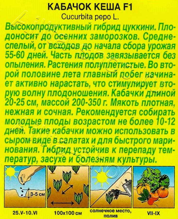 Кабачок цуккини Кеша F1 7шт