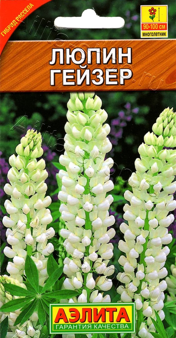 Люпин Гейзер 15шт