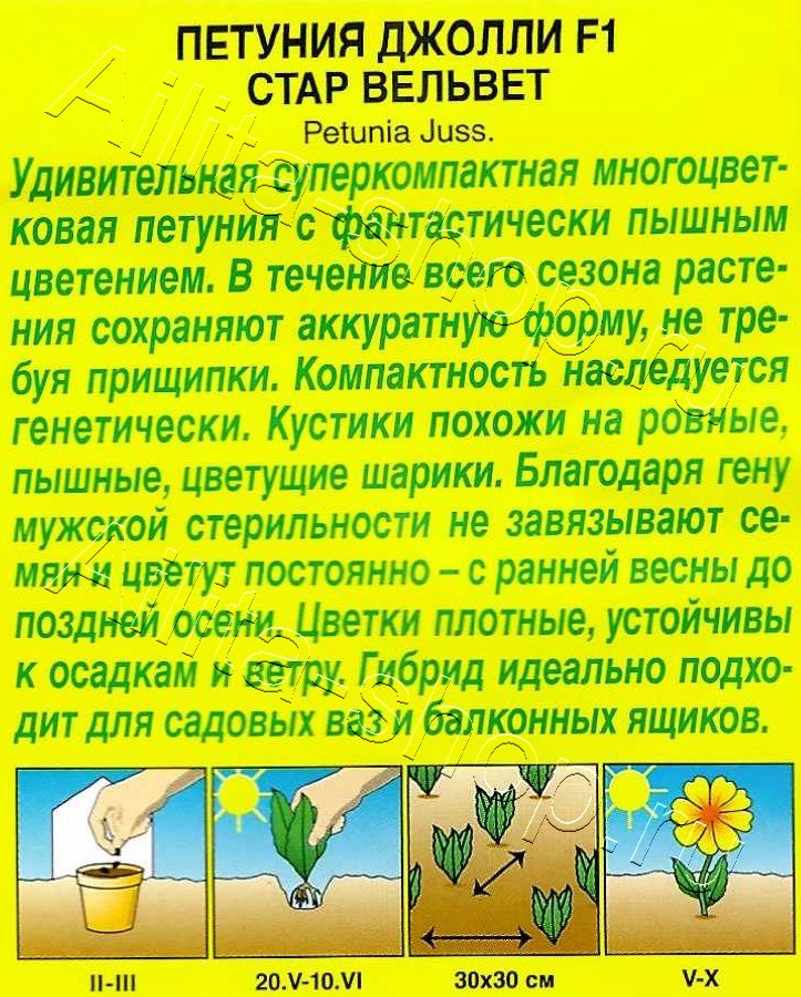 Петуния Джолли стар вельвет F1 многоцветковая 5шт