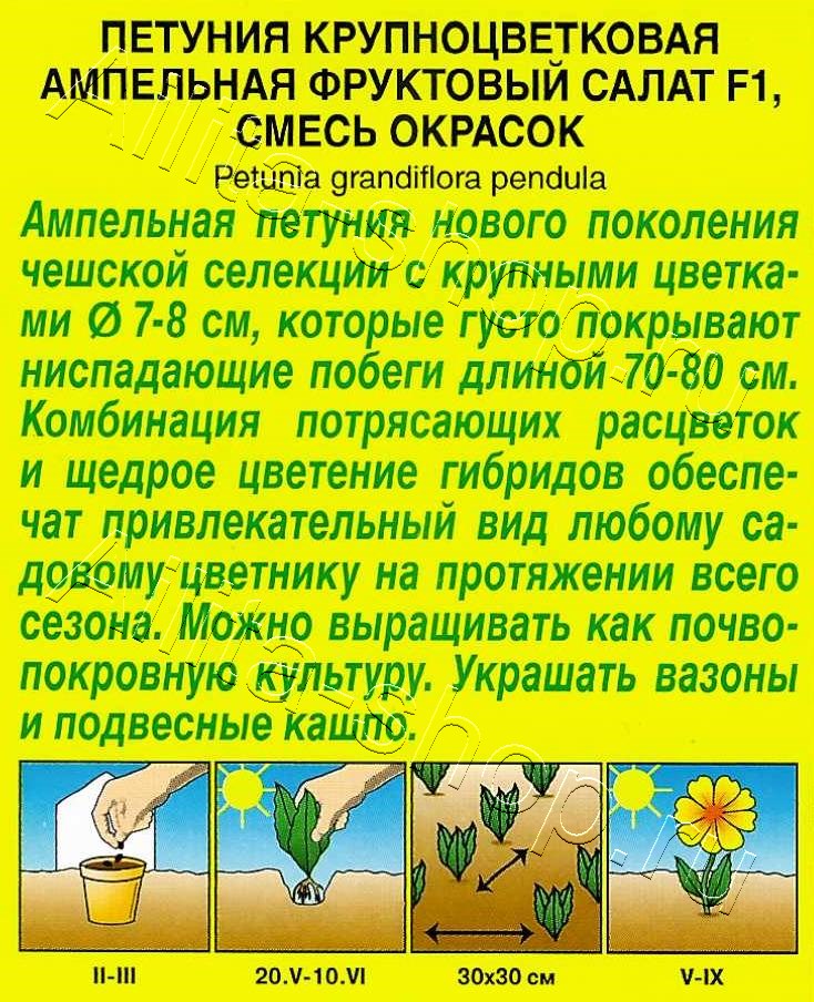 Петуния Фруктовый салат F1 ампельная крупноцветковая, смесь сортов 7шт