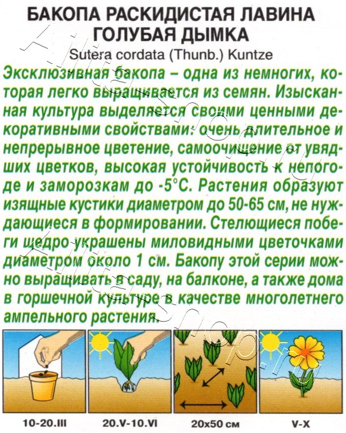 Бакопа раскидистая Лавина голубая дымка 3шт