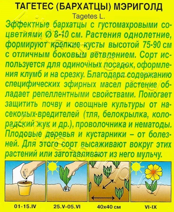 Бархатцы Мэриголд 0,1г