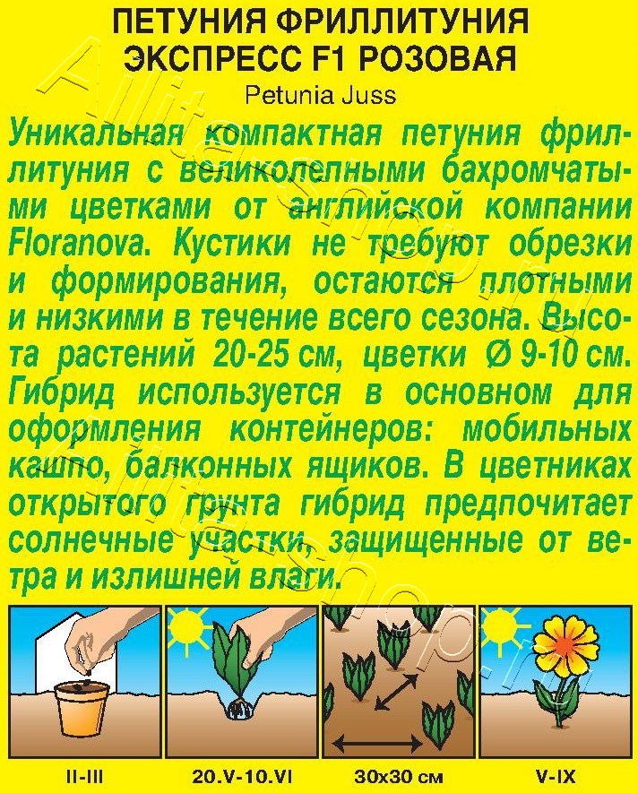 Фриллитуния Экспресс F1 розовая крупноцветковая бахромчатая 7шт