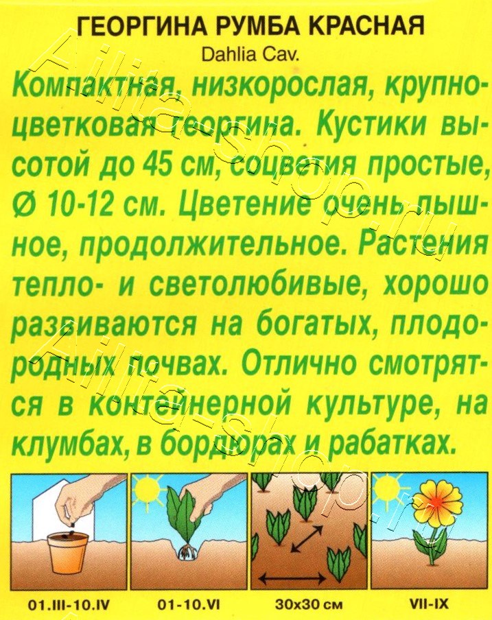 Георгина Румба красная 0,3г